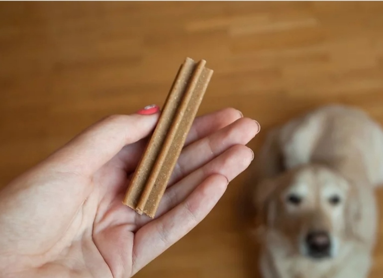 艾什卡普-用心愛你，始終陪伴