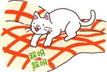 艾什卡普-用心愛你，始終陪伴