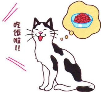 艾什卡普-用心愛你，始終陪伴