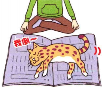 艾什卡普-用心愛你，始終陪伴