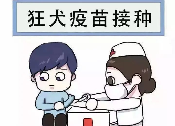 艾什卡普-用心愛你，始終陪伴