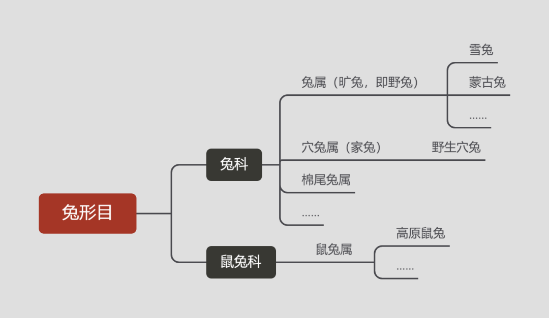 艾什卡普-用心愛你，始終陪伴