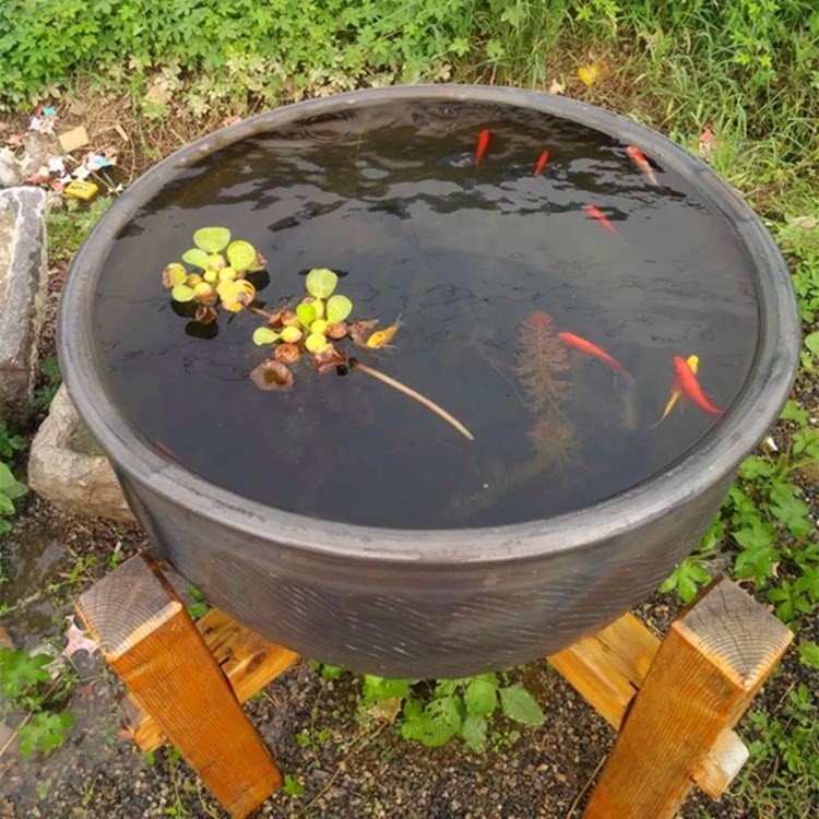 艾什卡普-用心愛你，始終陪伴