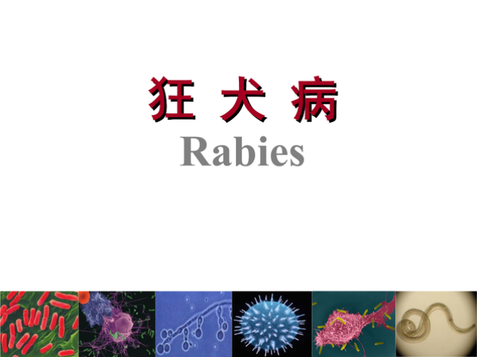 艾什卡普-用心愛你，始終陪伴