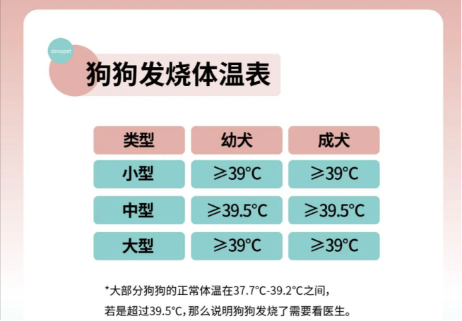 艾什卡普-用心愛你，始終陪伴
