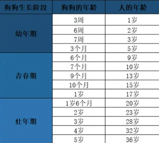 艾什卡普-用心愛你，始終陪伴