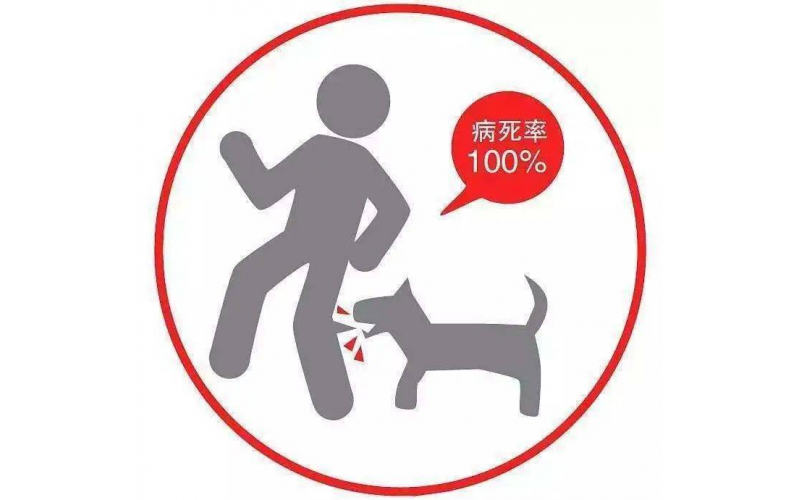 狂犬疫苗多少錢？千萬別亂打！