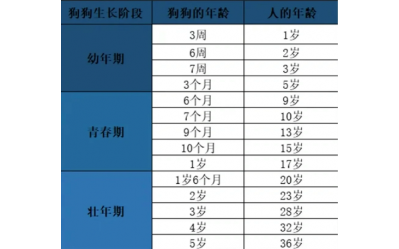 狗狗高速發育的“黃金生長期”，該怎么“助長”呢？