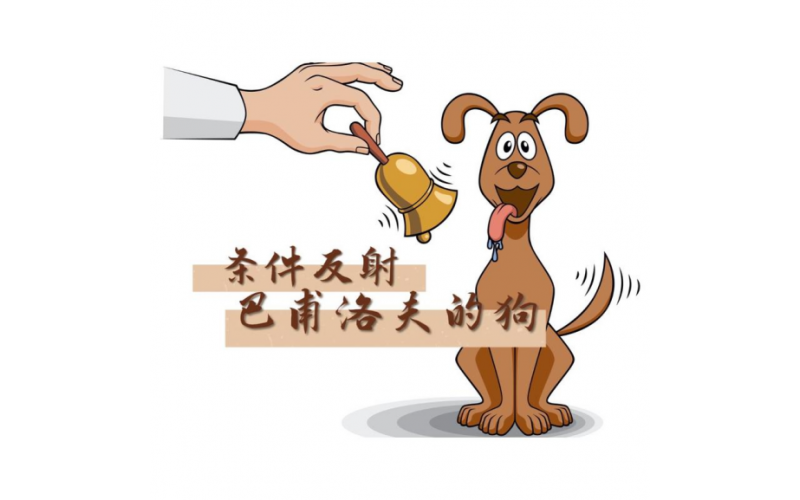 狗狗相關，經典條件反射實驗——巴甫洛夫的狗